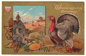 Thanksgiving Postcard, Turkey Looks Over Farm